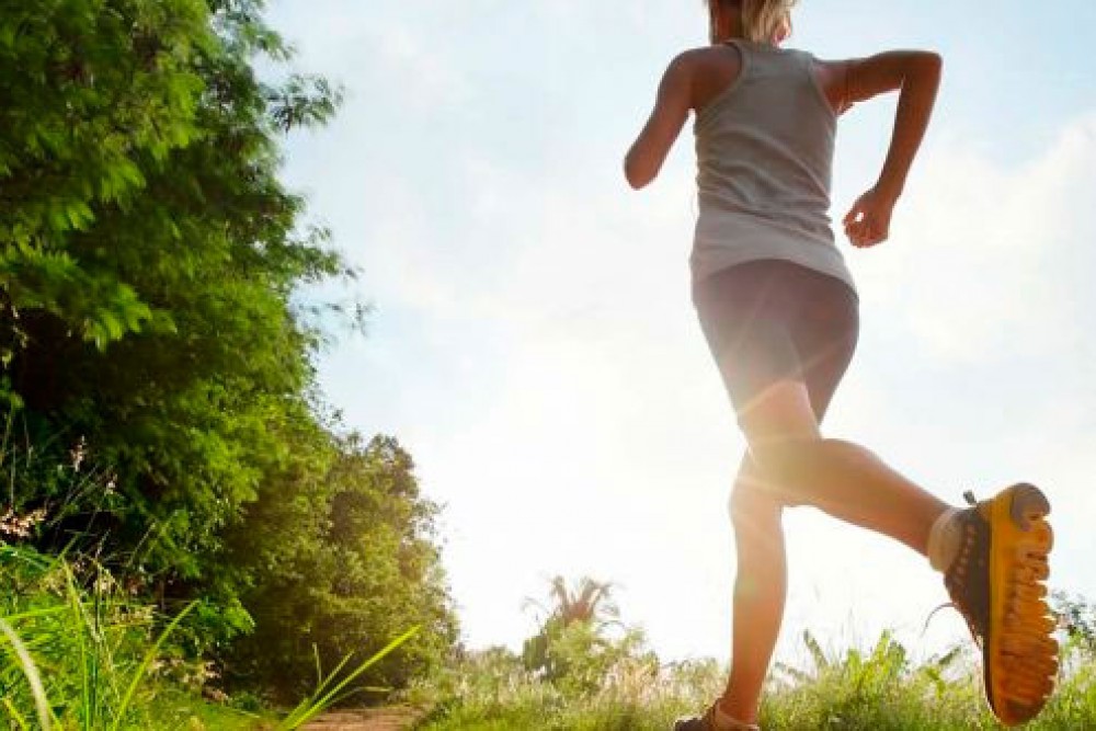 Haga actividad f&iacute;sica y combata el sedentarismo